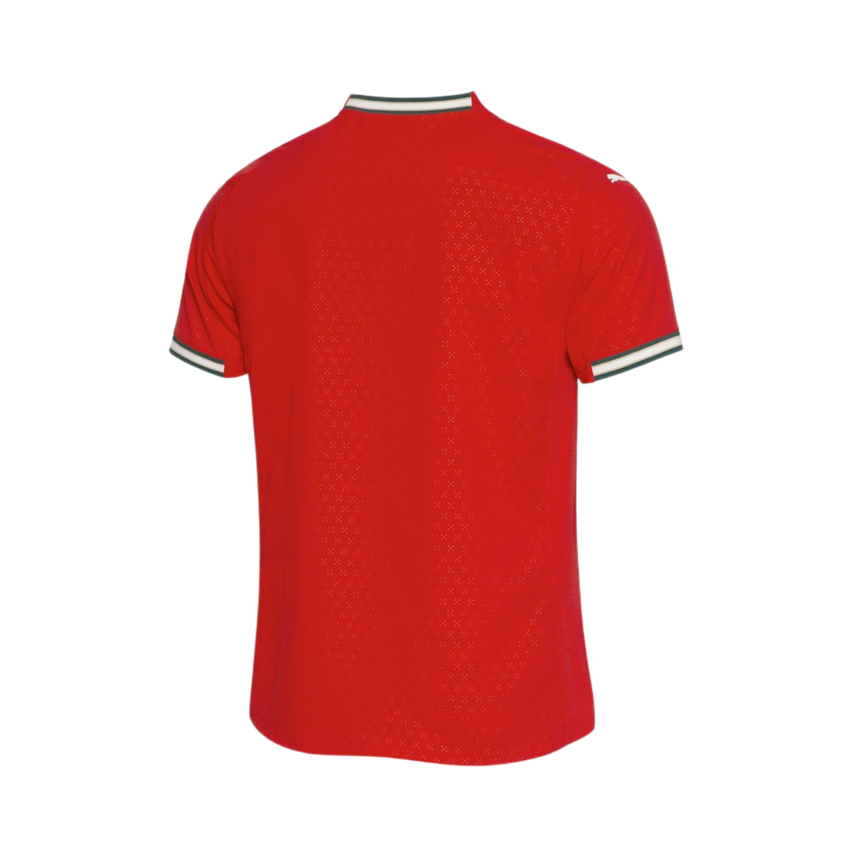 Camisola Portugal Principal Authentic 2025